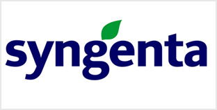 SYNGENTA INDIA LIMITED Unlisted Shares